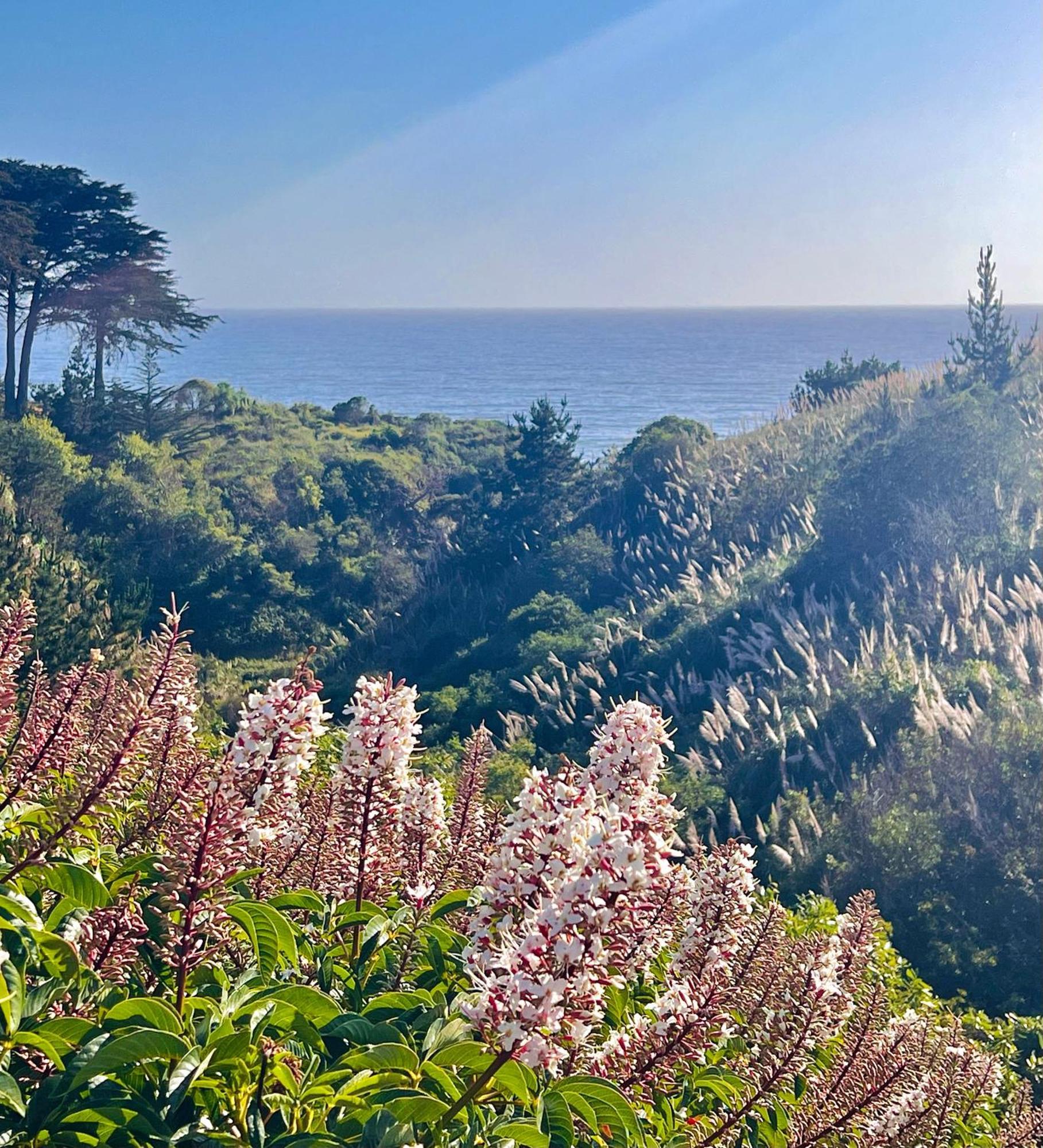 Royal Villa - Ocean View - Heated Pools - Seascape'S Best 1 Bedroom - 3 Beds - End Unit Aptos Bagian luar foto